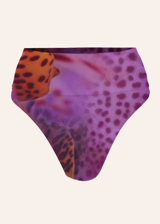 Lilah Bikini Bottom Reversible in Orchid